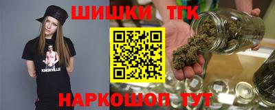 тгк Бердск