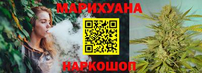 тгк Бердск