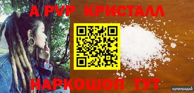 тгк Бердск