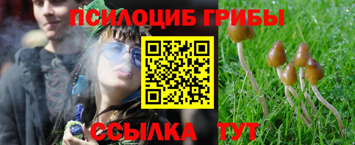 Псилоцибиновые грибы Magic Shrooms  Вход с VPN  Галлюциногенные грибы Psilocybe  что такое наркотик  Наро-Фоминск 